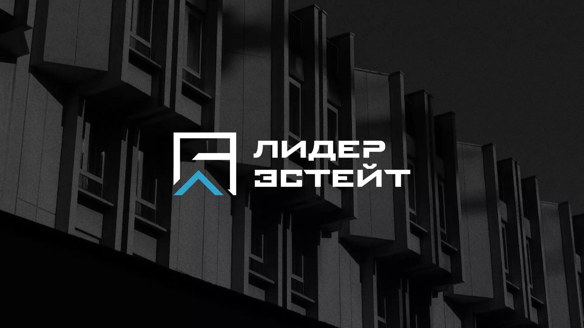 Разработка логотипа агентства недвижимости «Лидер Эстейт» в Петрове Вале